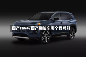 国产rav4/国产燃油车哪个品牌好