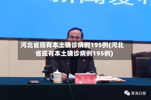 河北省现有本土确诊病例195例(河北省现有本土确诊病例195例)-第2张图片