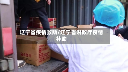 辽宁省疫情救助/辽宁省财政厅疫情补助-第1张图片