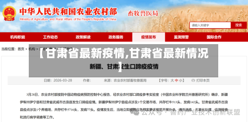 【甘肃省最新疫情,甘肃省最新情况】-第3张图片